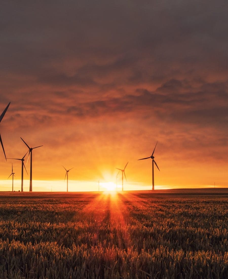 Formations aux métiers de la transition énergétique Panneaux solaires illustrant les métiers de la transition énergétique